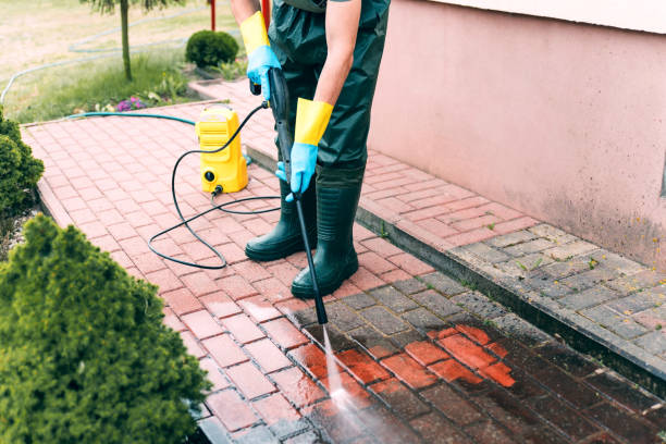 Animal Enclosure Cleaning in Yamhill, OR